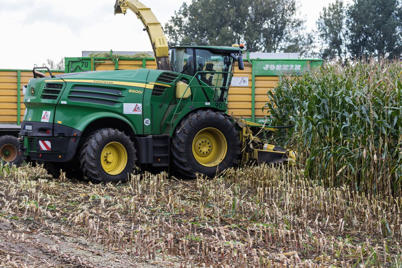 Bild 209 - Maisernte